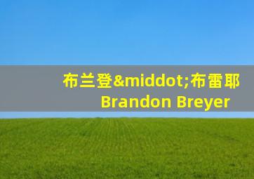 布兰登·布雷耶Brandon Breyer